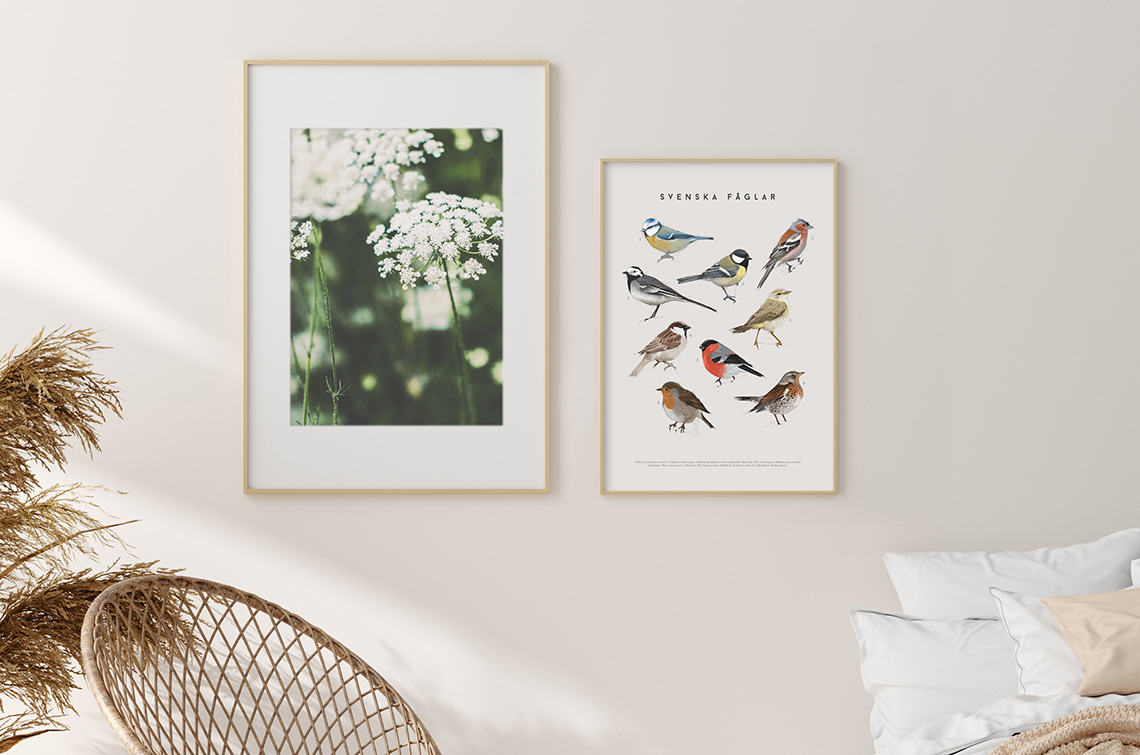 poster_flowers_birds